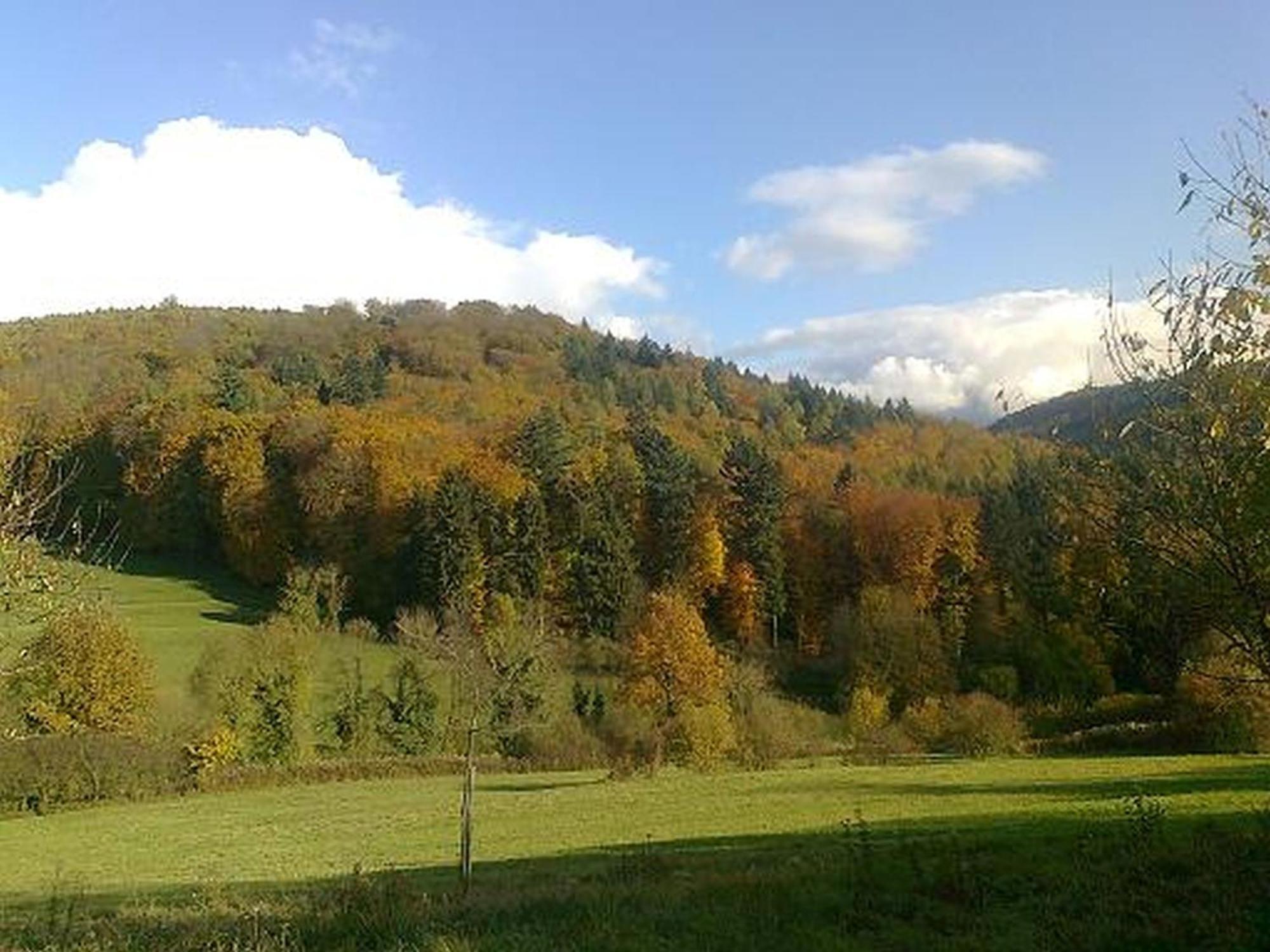 Rosenhof Broggingen Herbolzheim Exterior foto