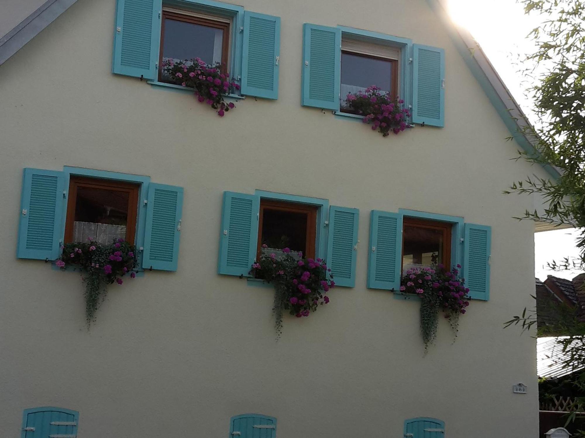 Rosenhof Broggingen Herbolzheim Exterior foto