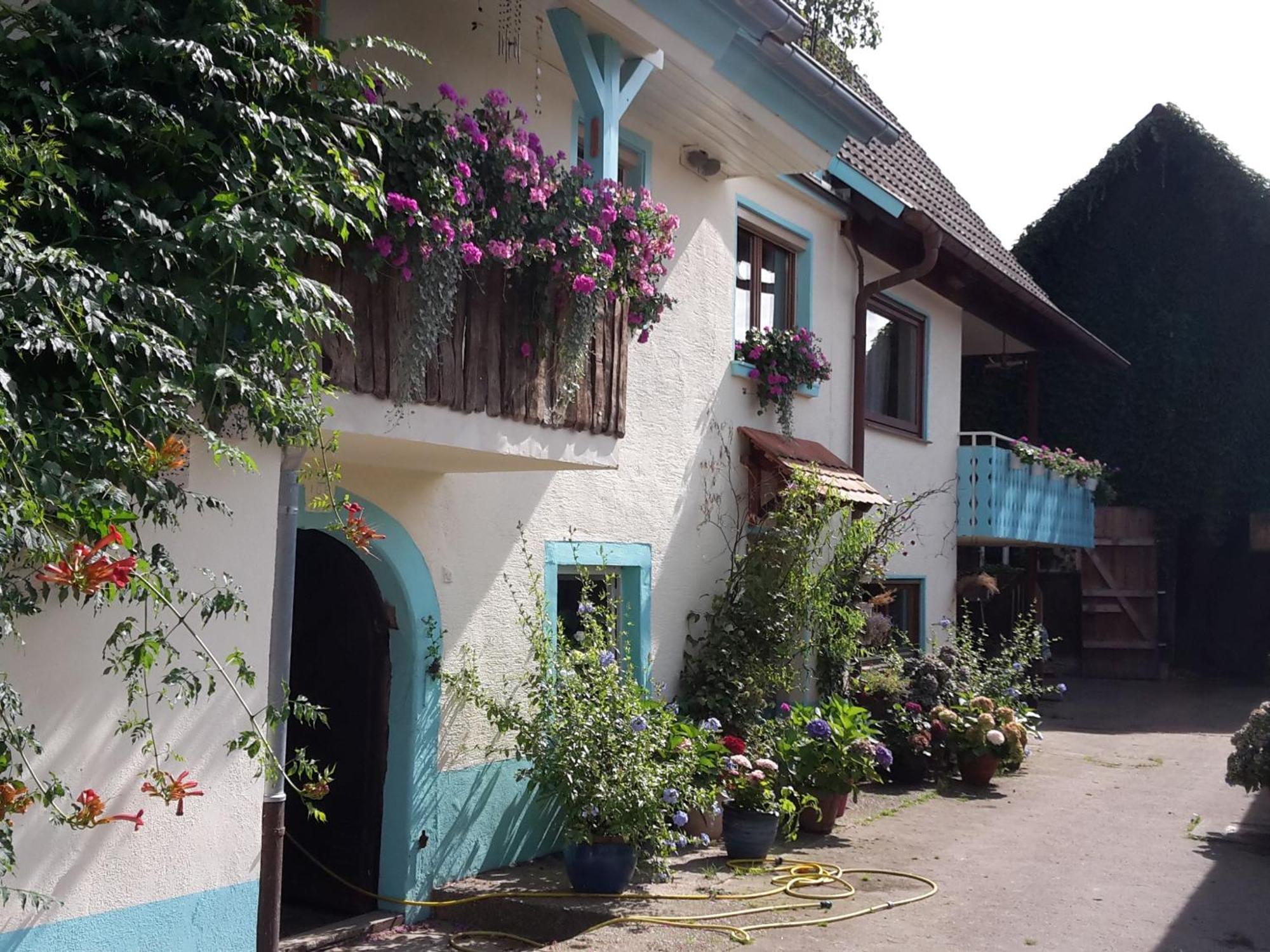 Rosenhof Broggingen Herbolzheim Exterior foto
