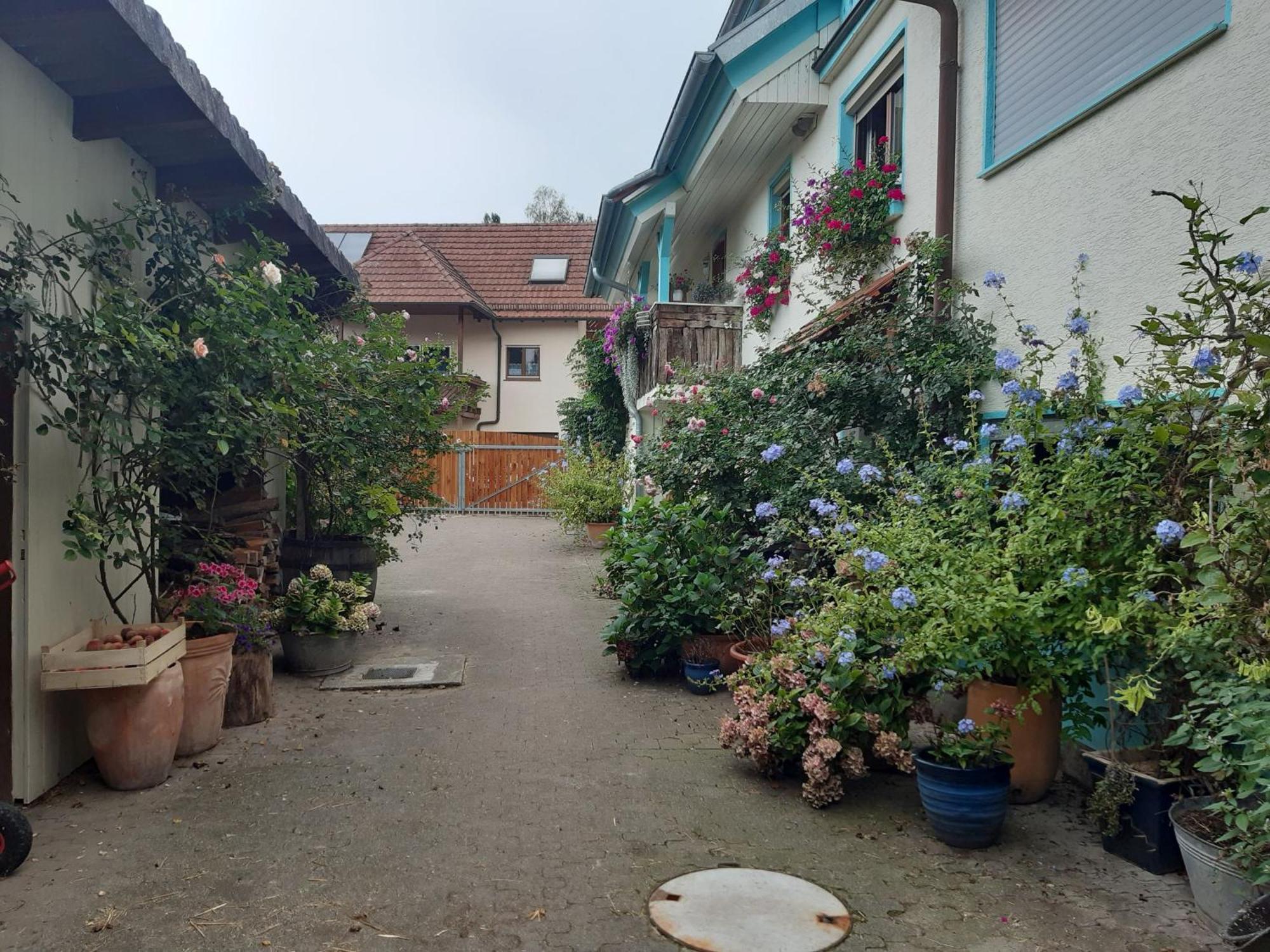Rosenhof Broggingen Herbolzheim Exterior foto